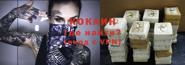 сатива Елизово