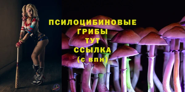 винт Елабуга
