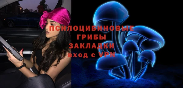 сатива Елизово