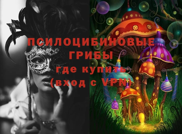сатива Елизово