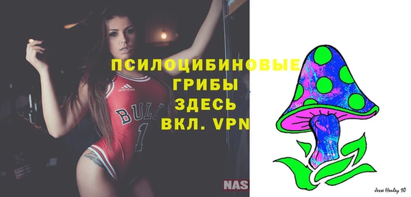 сатива Елизово