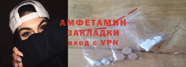 соль ск Ельня