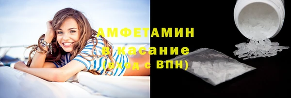 соль ск Ельня