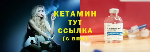 сатива Елизово