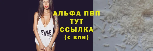 сатива Елизово