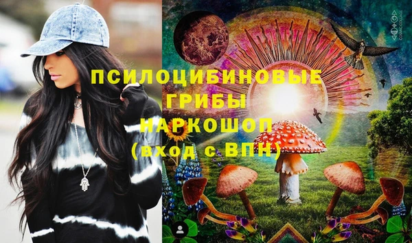 винт Елабуга