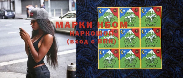 соль ск Ельня