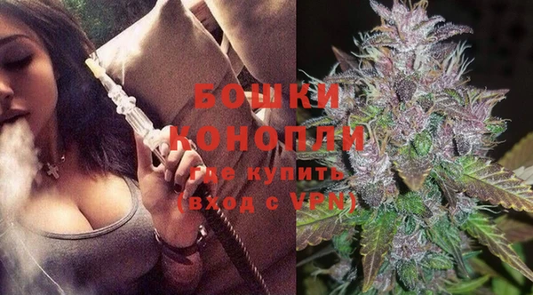 сатива Елизово