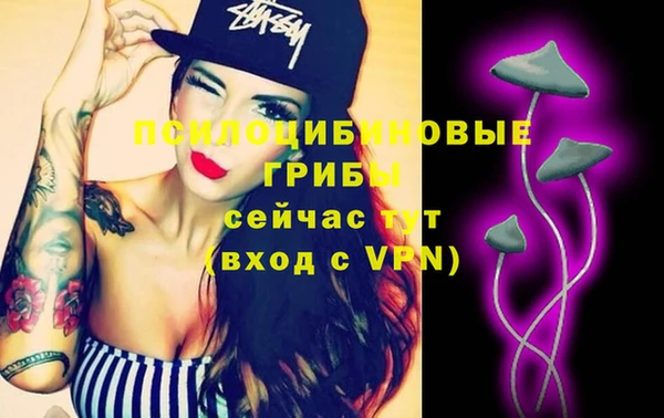 соль ск Ельня