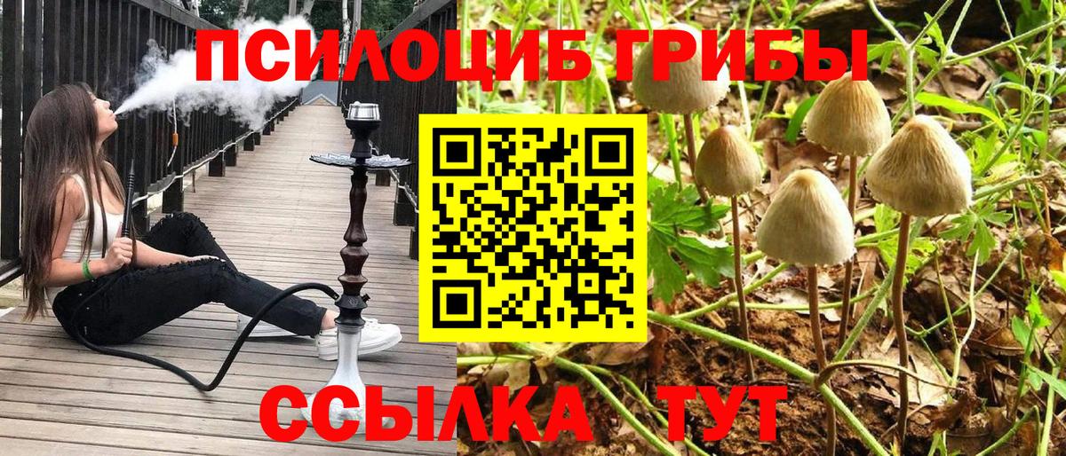 Галлюциногенные грибы мухоморы  Вход с VPN  даркнет сайт  Галлюциногенные грибы прущие грибы  Дюртюли 